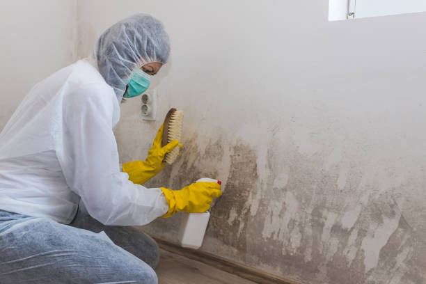 Best Water Damage Restoration  in Bystrom, CA