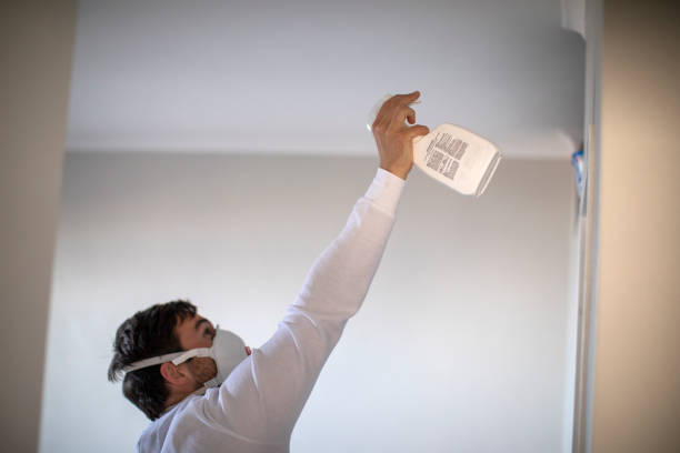 Best Crawl Space Mold Removal  in Bystrom, CA