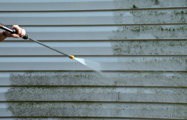 Best Mold Damage Repair  in Bystrom, CA