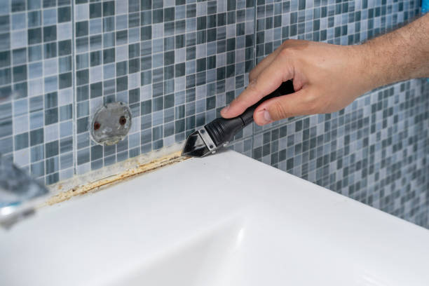 Best Same-Day Mold Removal  in Bystrom, CA