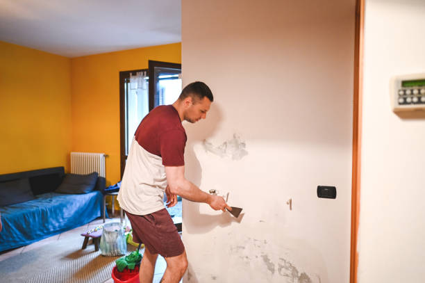 Best Certified Mold Removal  in Bystrom, CA