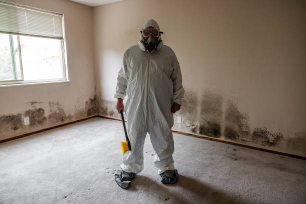 Best Mold Removal Specialists  in Bystrom, CA